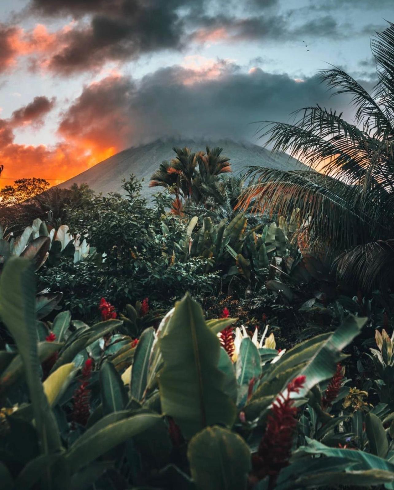 Villa Tucan La Fortuna Eksteriør bilde